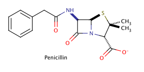 Penicillin