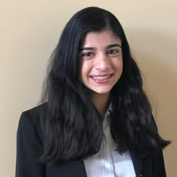 Ottawa Computer Game Design tutor named Apoorva Ottawa Computer Game Design tutor named Apoorva