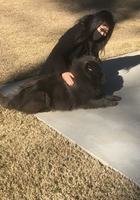 Leeds Complex Analysis tutor named Kate