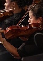 Waterloo Violin tutor named Laura