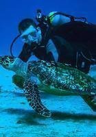 Jacksonville, FL GRE tutor named John Jacksonville, FL GRE tutor named John