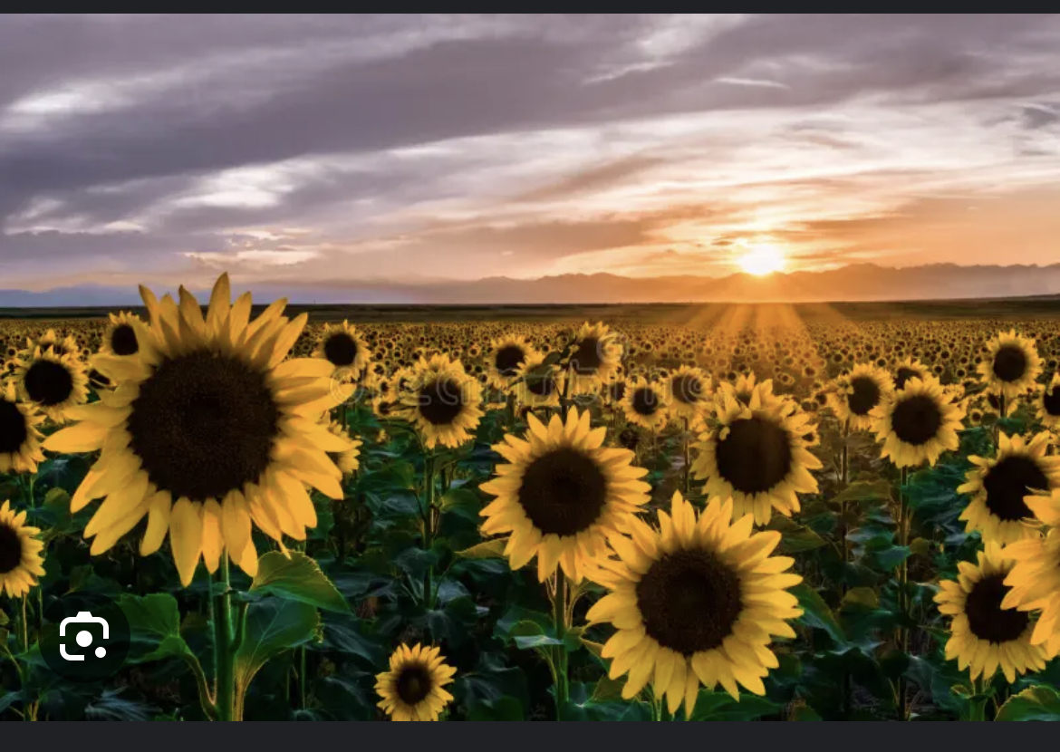 Edinburgh GED Reasoning Through Language Arts tutor named Patricia