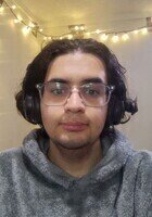 Windsor Plant Biology tutor named Aidin