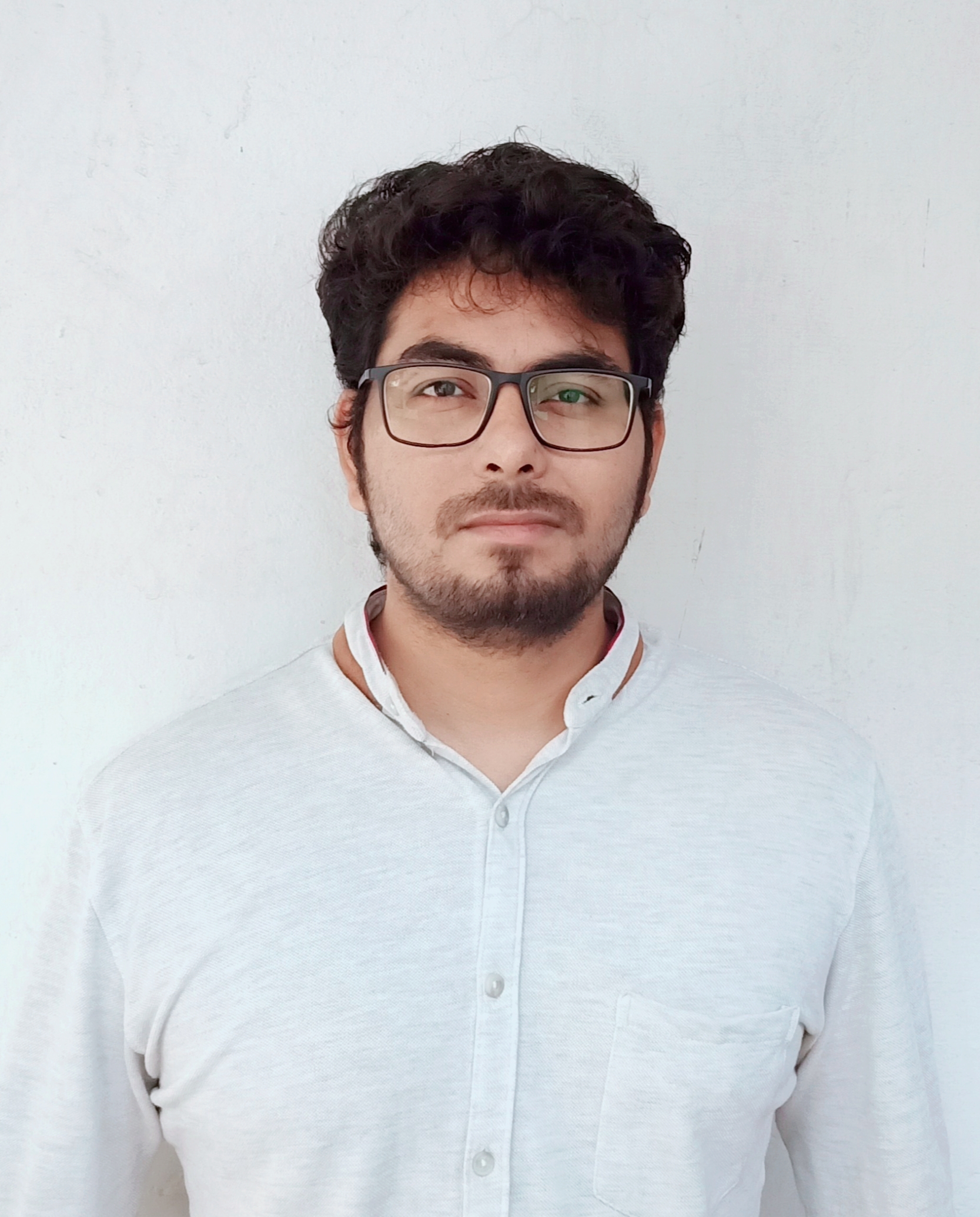 Edmonton UK A Level Physics tutor named Harsh