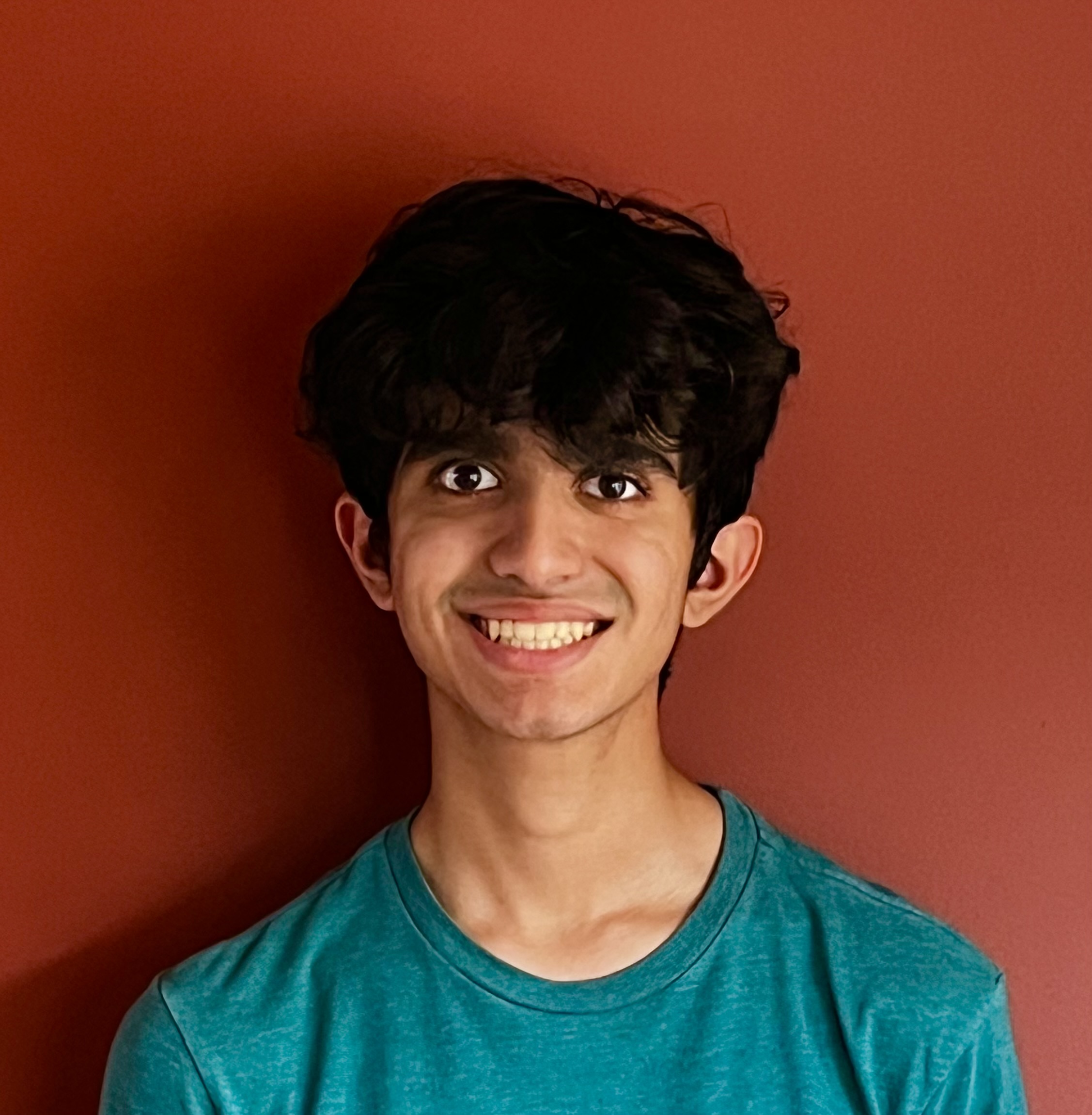 Oxford Differential Calculus tutor named Vir Oxford Differential Calculus tutor named Vir