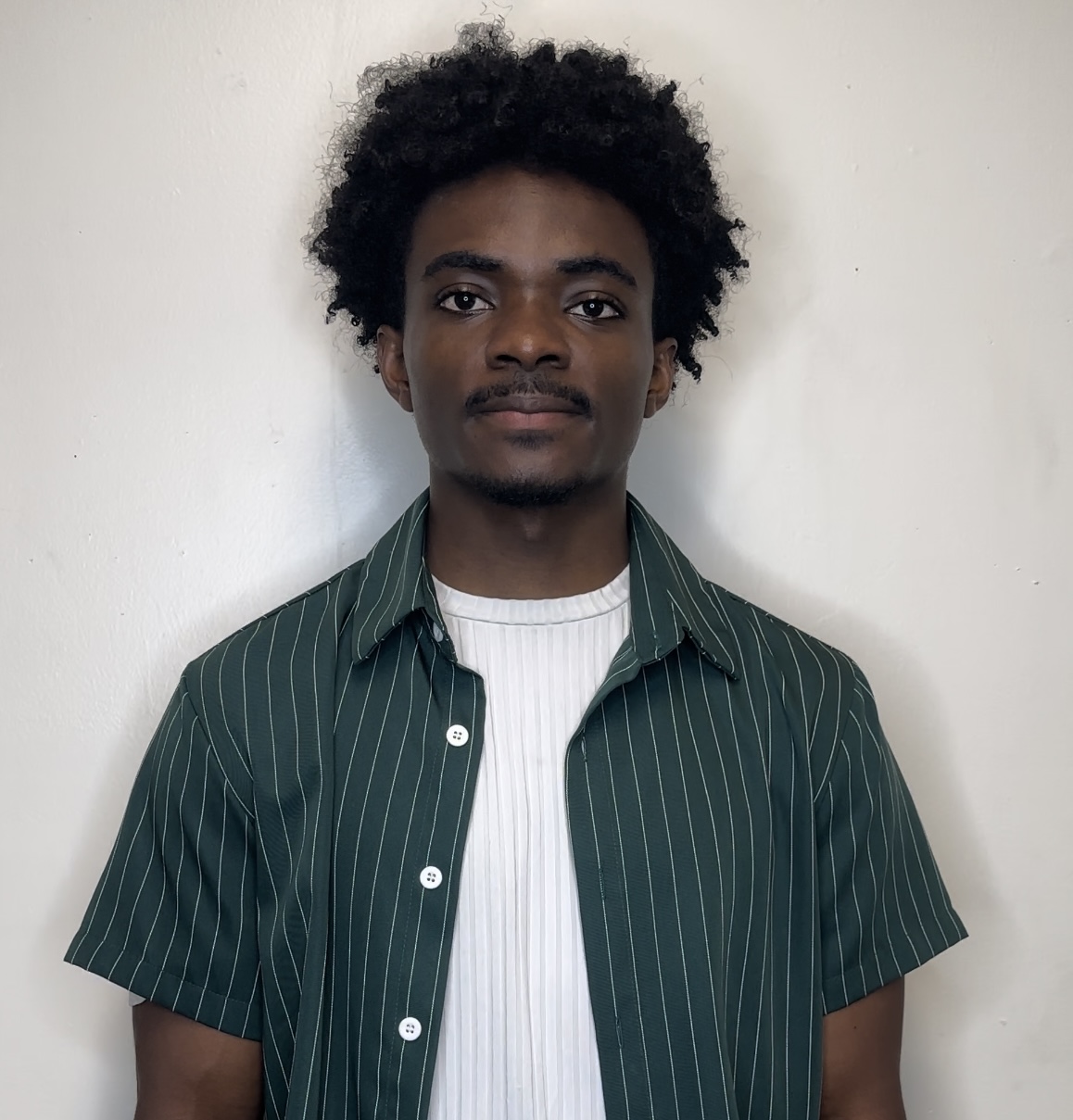 Birmingham Data Management tutor named Francis