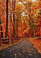 Durham Hindi tutor named ....