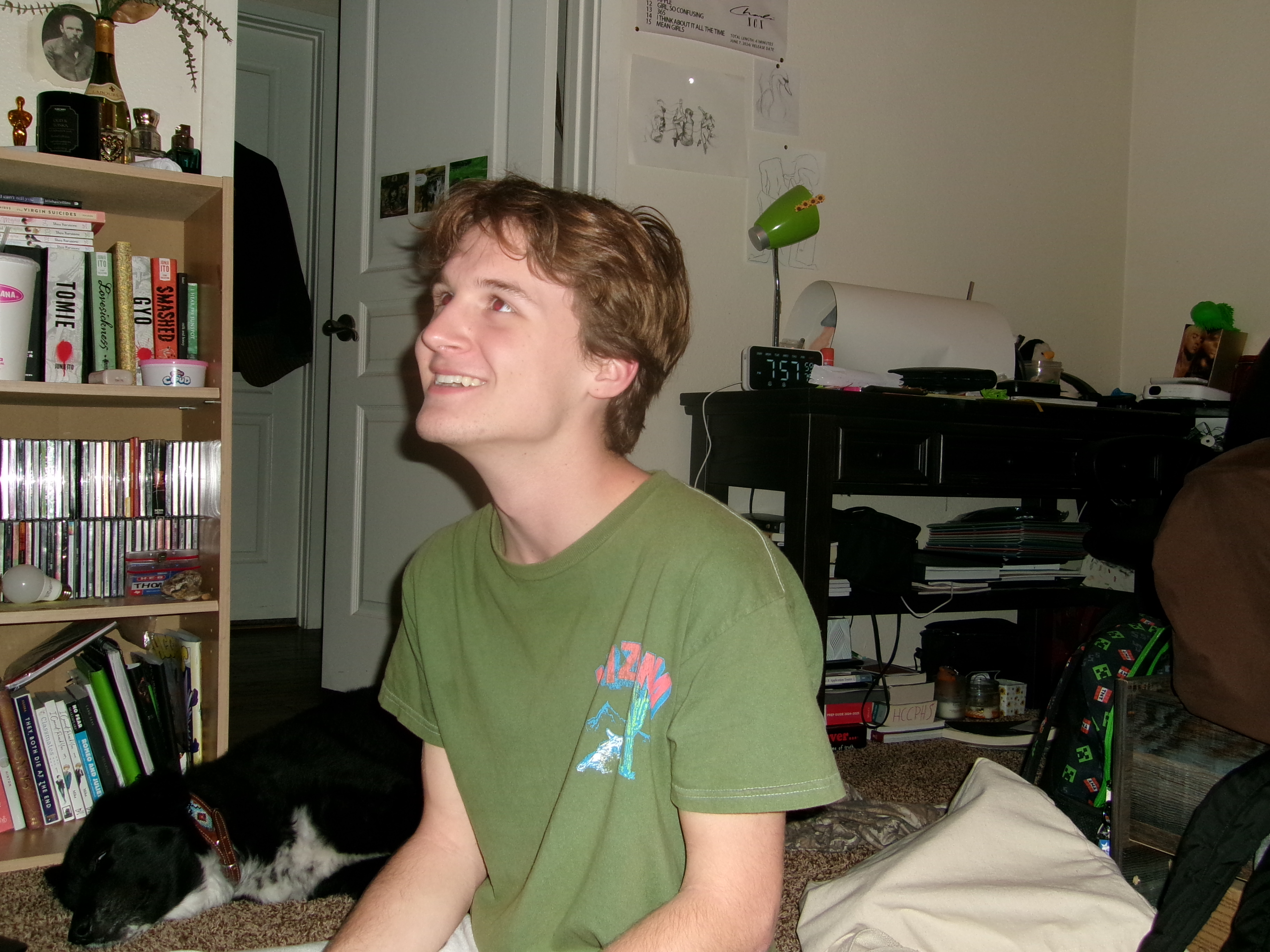 Montreal AP Art History tutor named Brian Montreal AP Art History tutor named Brian