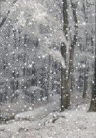 Quebec City Grant Writing tutor named Kelly